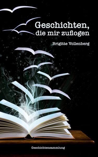 Cover von Geschichten, die mir zuflogen