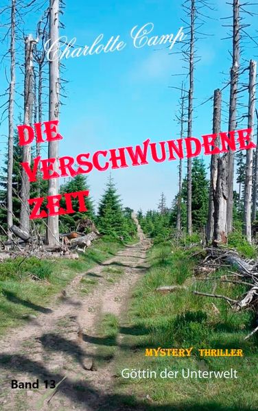 Cover von Die verschwundene Zeit