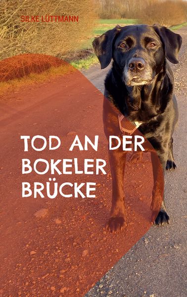 Cover von Tod an der Bokeler Brücke