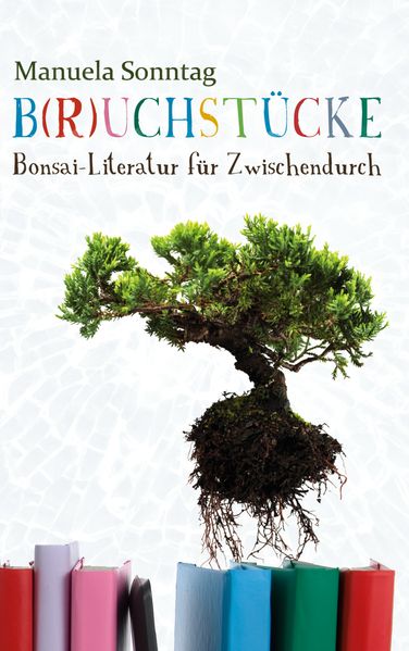 Cover von B(r)uchstücke