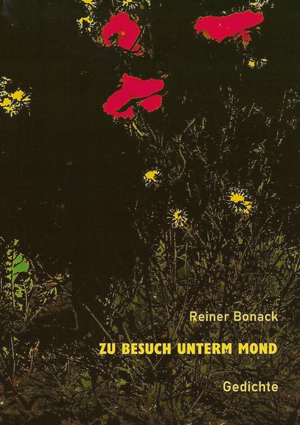 Cover von Zu Besuch unterm Mond