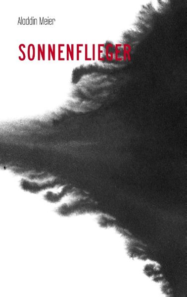 Cover von Sonnenflieger