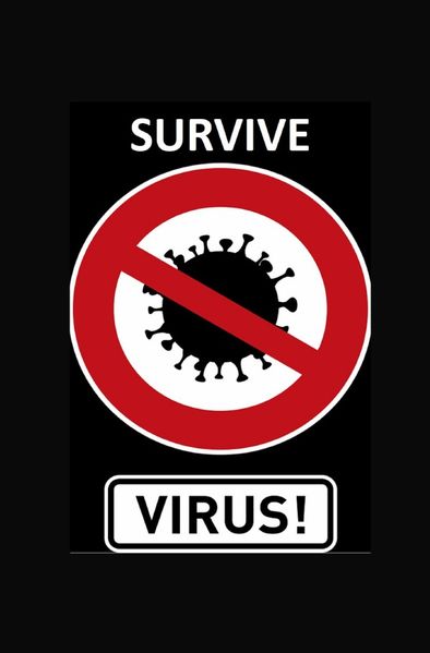Cover von Tagebücher / Tagebuch – Survive Corona