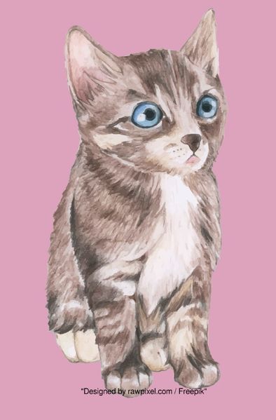 Cover von Notizbücher / Süßes Katzen Notizbuch Businessplaner Geschenkidee für Mann Frau und Kind