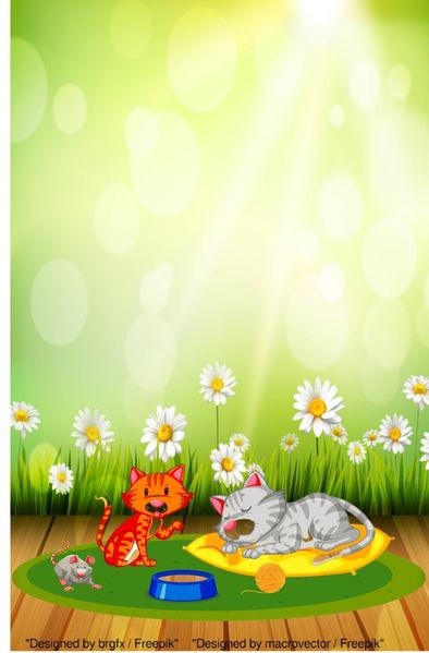 Cover von Notizbücher / Süßes Katzen Notizbuch Businessplaner Geschenkidee für Mann Frau und Kind