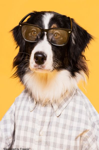 Cover von Notizbücher / Süßes Hunde Notizbuch Businessplaner Geschenkidee für Mann Frau und Kind