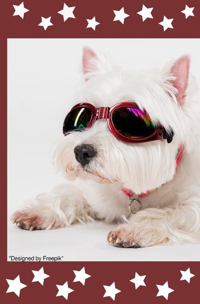 Cover von Notizbücher / Süßes Hunde Notizbuch Businessplaner Geschenkidee für Mann Frau und Kind