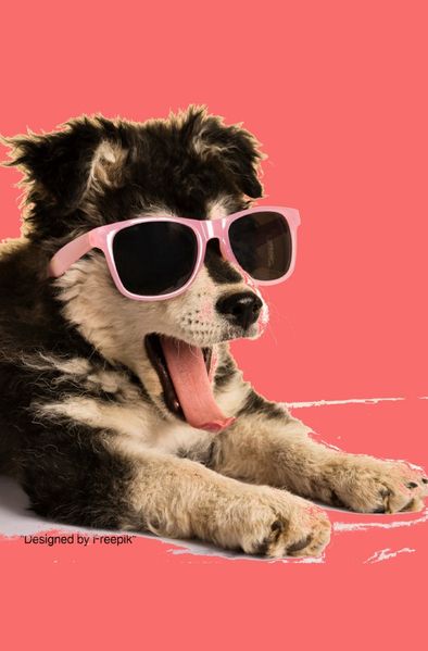 Cover von Notizbücher / Süßes Hunde Notizbuch Businessplaner Geschenkidee für Mann Frau und Kind