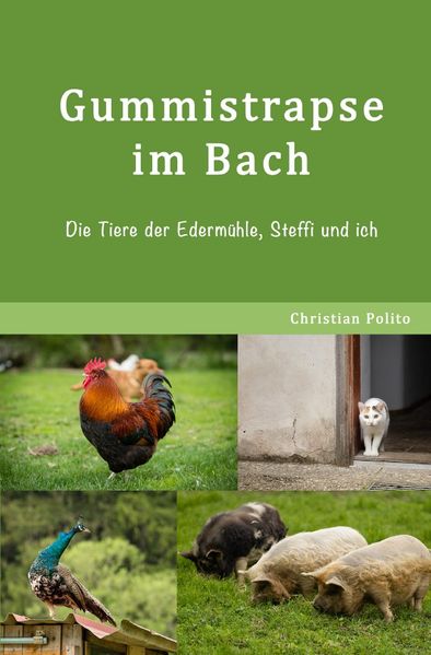 Cover von G’schichten aus der Edermühle / Gummistrapse im Bach