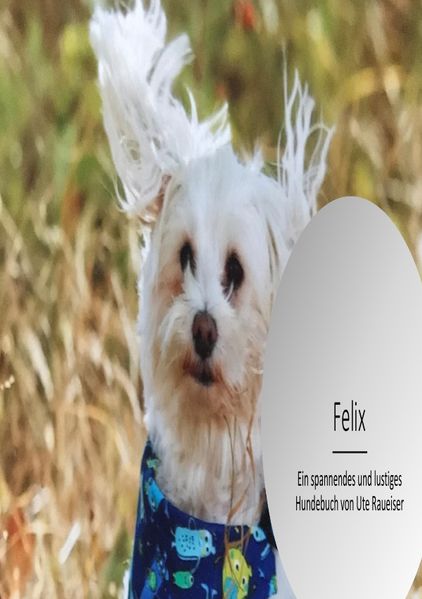 Cover von Felix