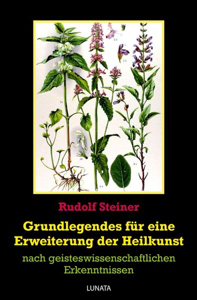 Cover von Grundlegendes zur Erweiterung der Heilkunst