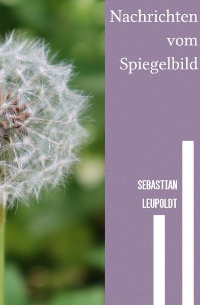 Cover von Nachrichten vom Spiegelbild