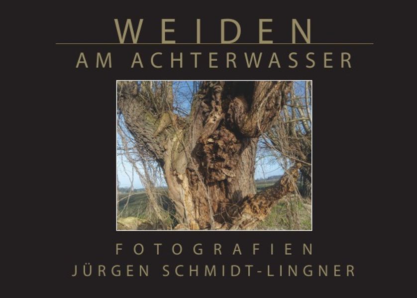 Cover von Weiden am Achterwasser