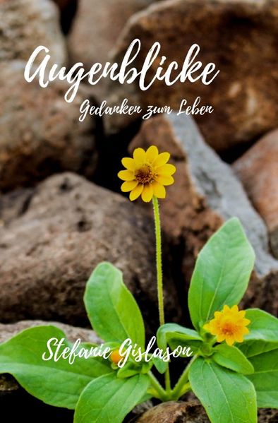 Cover von Augenblicke