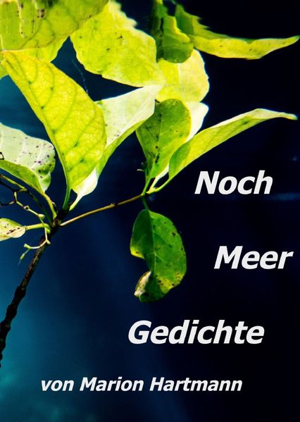 Cover von Noch Meer Gedichte