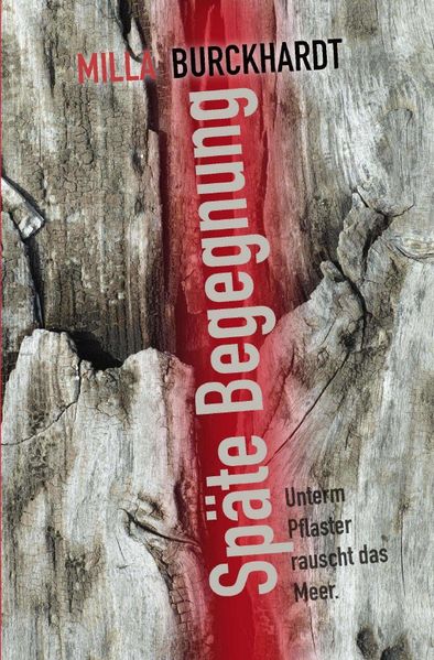 Cover von Späte Begegnung