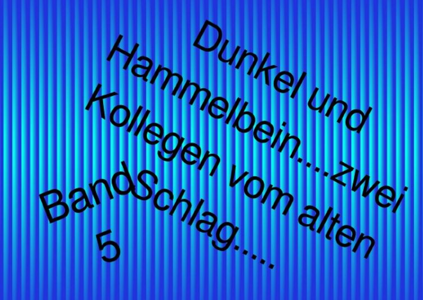 Cover von Dunkel und Hammelbein Zwei Kollegen vom alten Schlag / Dunkel und Hammelbein