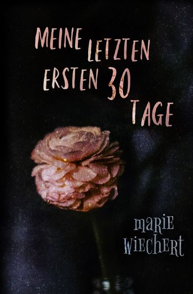 Cover von Meine letzten ersten 30 Tage