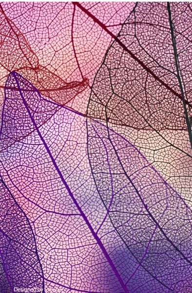 Cover von Herbst / Notizbuch Herbst Design,Bullet Journal, Geschenkidee, Softcover, 68 Seiten dotted