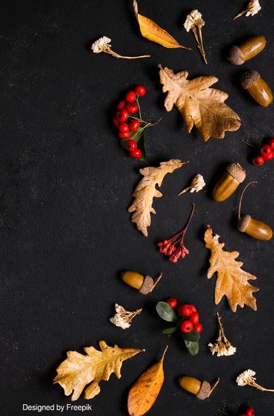 Cover von Herbst / Notizbuch Herbst Design,Bullet Journal, Geschenkidee, Softcover, 68 Seiten dotted