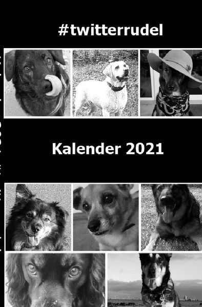 Cover von Kalender 2021 Taschenbuch Softcover
