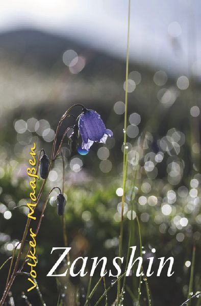 Cover von Zanshin