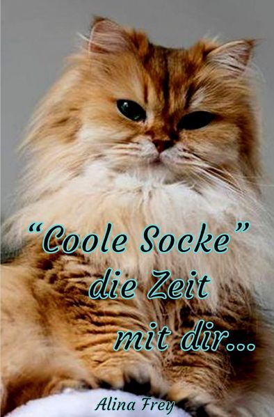 Cover von “Coole Socke“ die Zeit mit dir