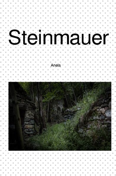 Cover von Steinmauer