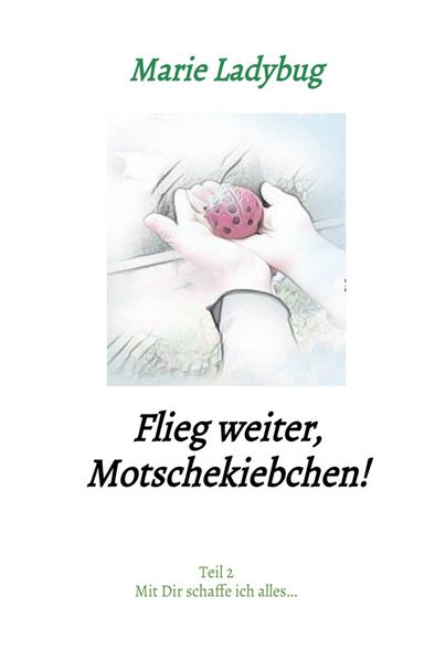 Cover von Flieg weiter, Motschekiebchen!