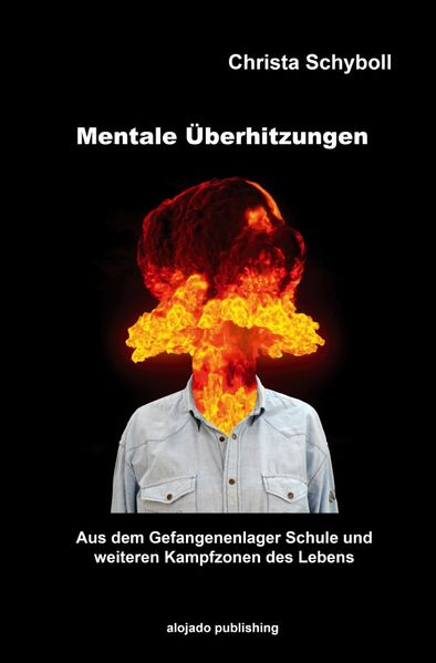 Cover von Mentale Überhitzungen