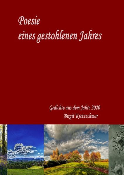 Cover von Poesie eines gestohlenen Jahres