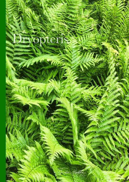 Cover von Plant Spirits / Dryopteris