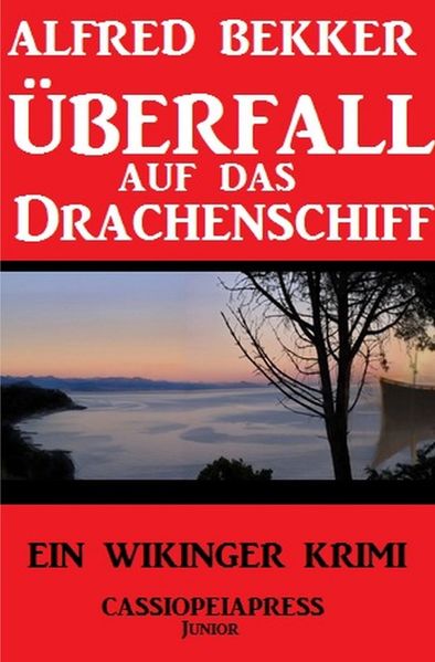 Cover von Überfall auf das Drachenschiff