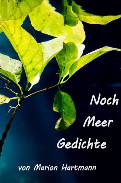 Cover von Noch Meer Gedichte