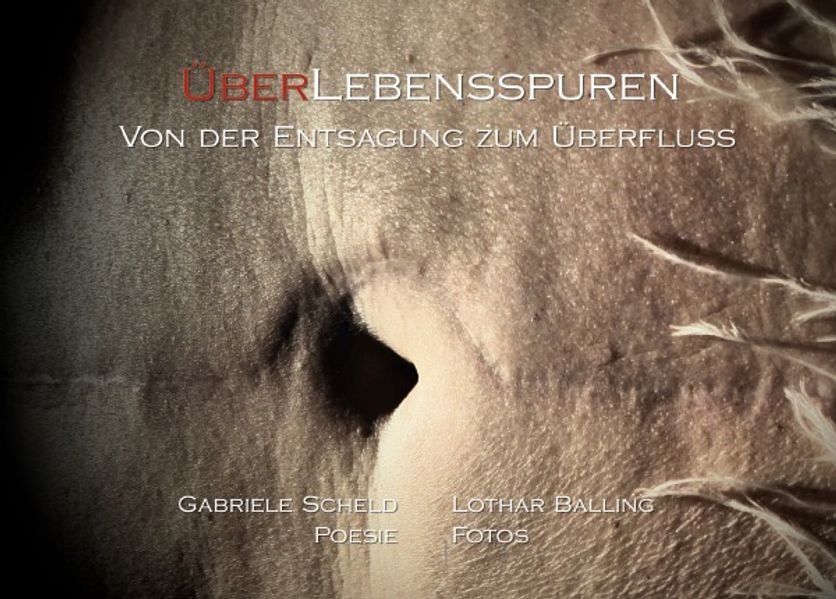 Cover von ÜberLebensspuren
