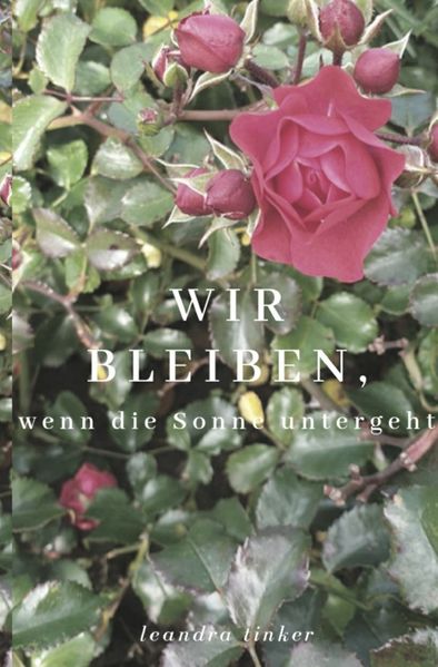 Cover von Wir bleiben, wenn die Sonne untergeht