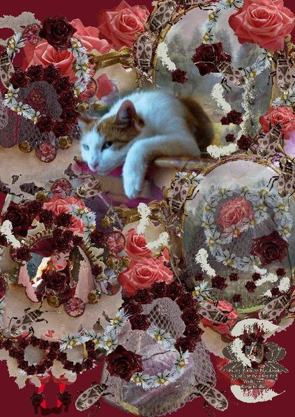 Cover von Pretty Poetress Notebook: A Cat Can Be a Big Bad Wolf Too