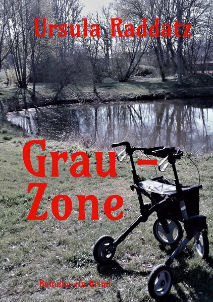 Cover von Grau-Zone