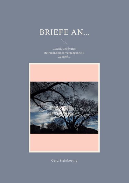 Cover von Briefe an