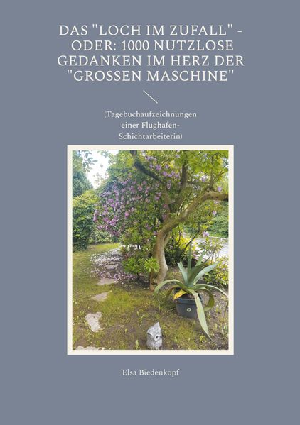 Cover von Das Loch im Zufall – oder: 1000 nutzlose Gedanken im Herz der „großen Maschine“