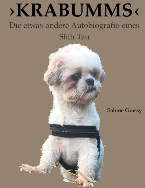 Cover von KRABUMMS