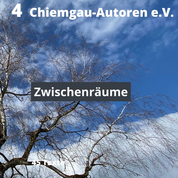 Cover von Zwischenräume