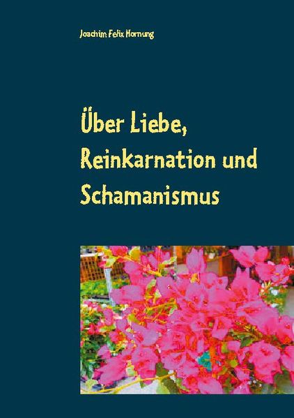 Cover von Über Liebe, Reinkarnation und Schamanismus