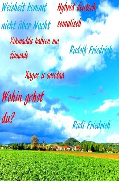 Cover von Wohin gehst du? Weisheit kommt nicht über Nacht