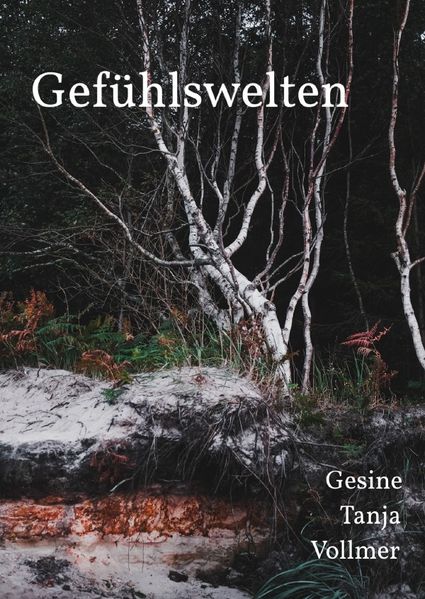 Cover von Gefühlswelten