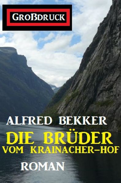 Cover von Die Brüder vom Krainacher Hof: Roman. Großdruck Taschenbuch