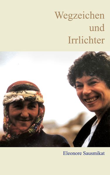 Cover von Wegzeichen und Irrlichter