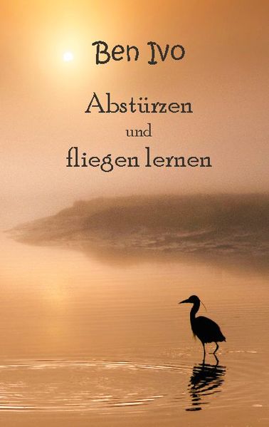 Cover von Abstürzen und fliegen lernen