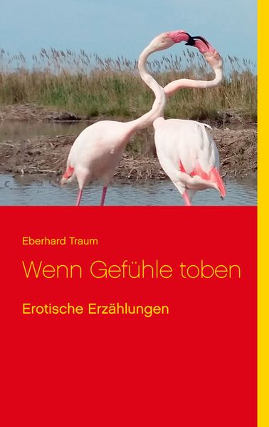 Cover von Wenn Gefühle toben