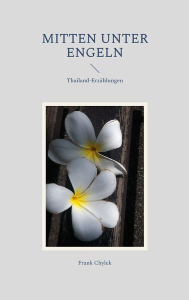 Cover von Mitten unter Engeln